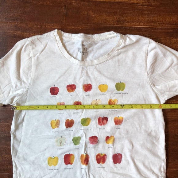 SOLD J Crew Collector Apple Tee - Picture 5 of 6